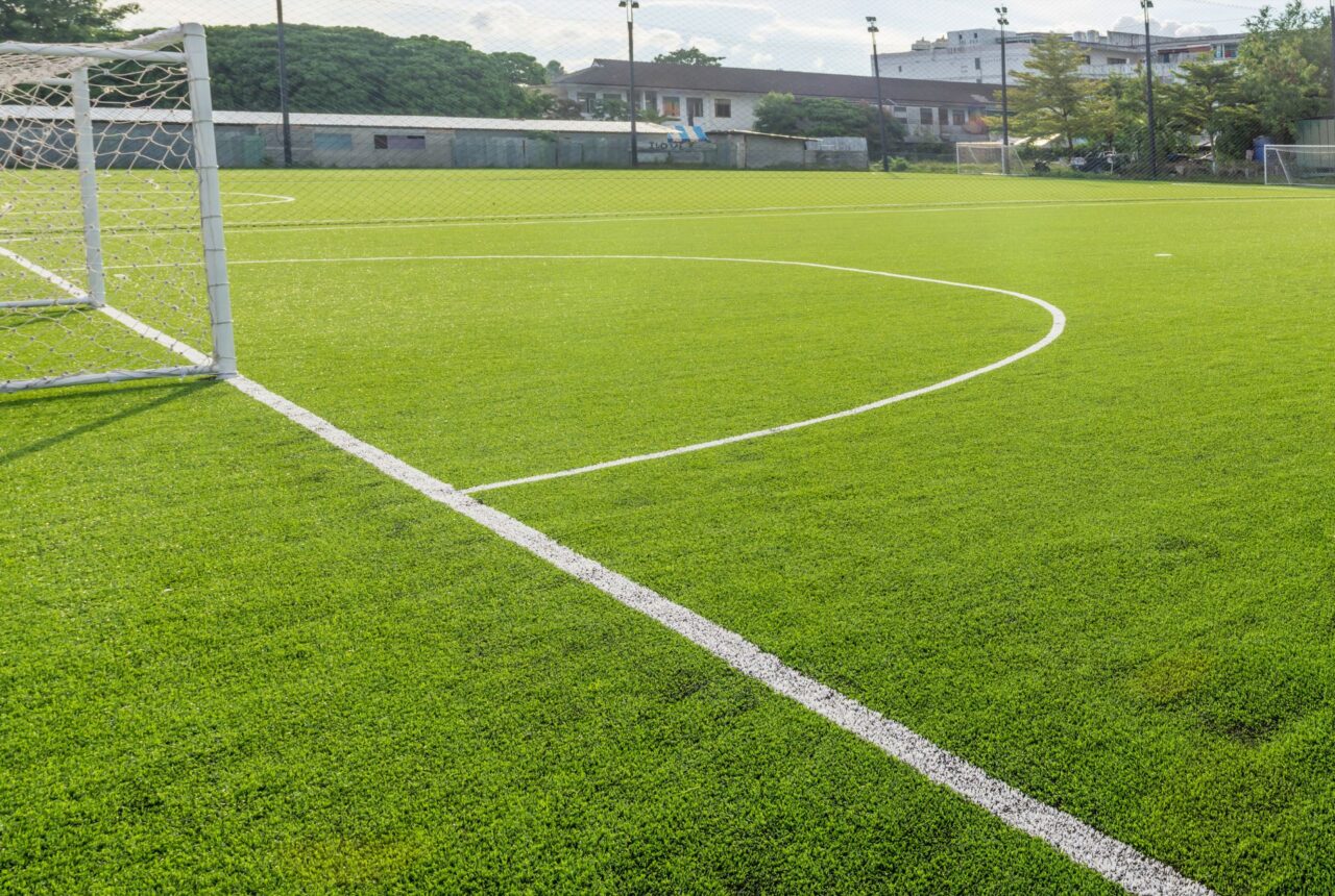 Sports Field Turf